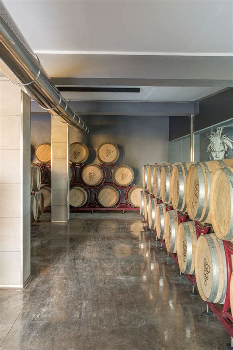 cantina fendi|Exploring the wines of Fendi .